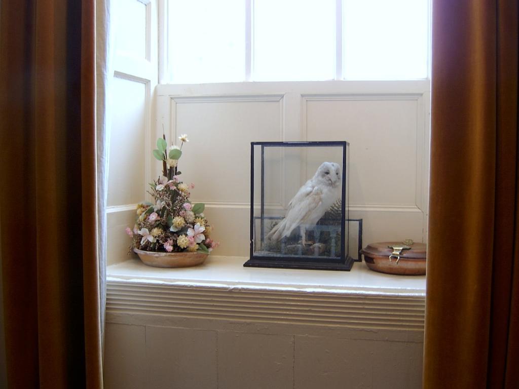 Bed and Breakfast Richmond House Cappoquin Esterno foto